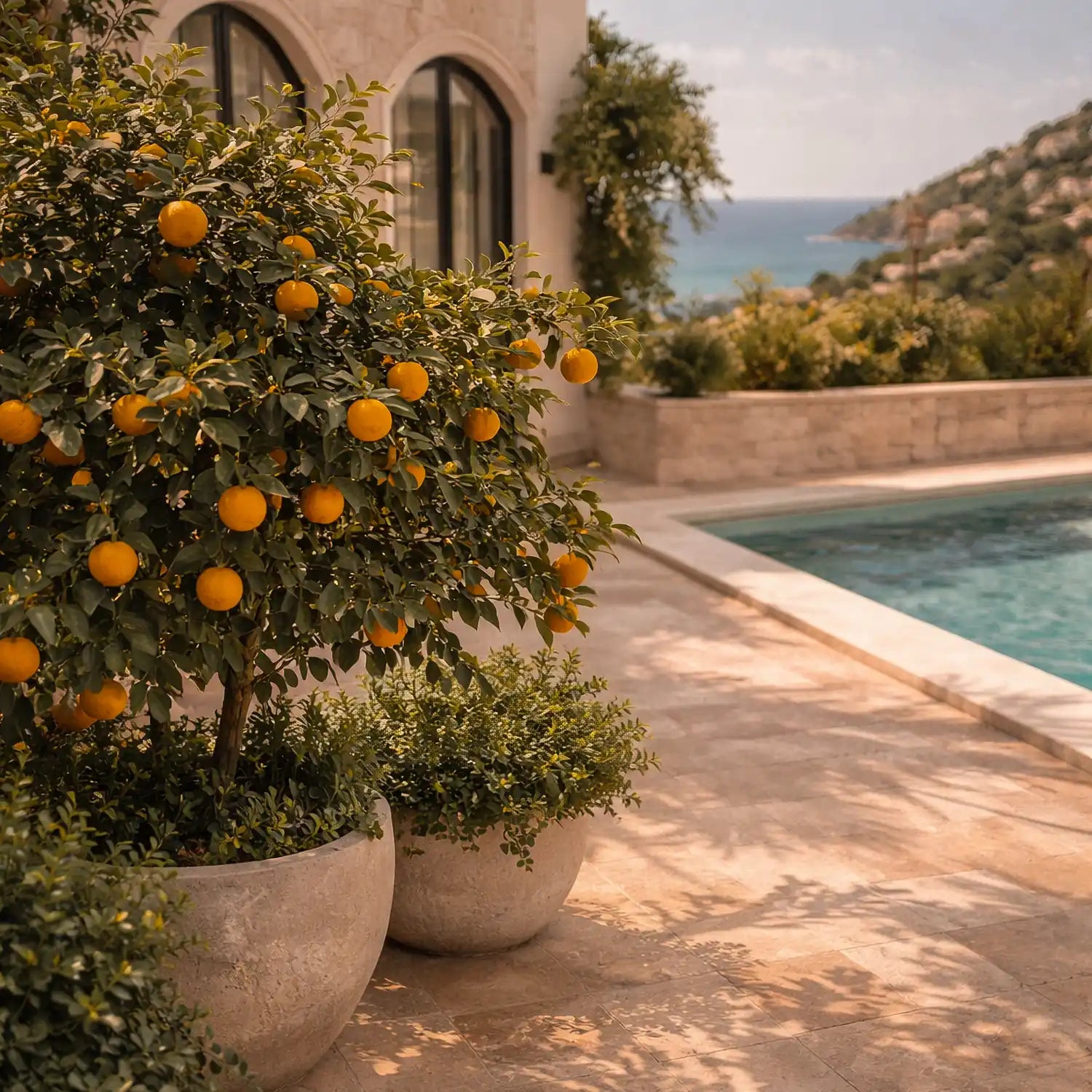 AZURA SPA & LIVING steht für exklusive Outdoor Spa und Outdoor Living Konzepte. Mit einem sorgfältig kuratierten Sortiment hochwertiger Premium Marken gestalten wir stilvolle Außenbereiche für Privatvillen, Ferienimmobilien, Hotels, Beachclubs und anspruchsvolle Wohnprojekte auf Mallorca, den Balearen und in ganz Europa.